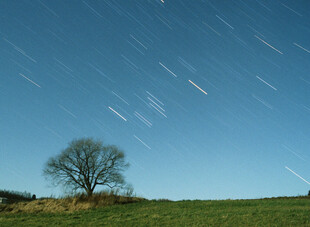 田野孤树旁的星轨美景