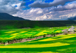田园油菜美景