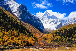 秋日山谷中的壮丽雪山景色