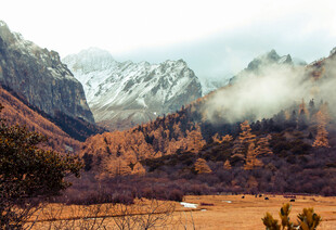 山间秋色云雾缭绕的美景