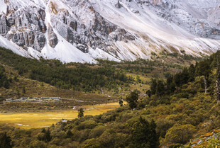 雪山下的多彩山林景观