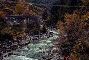 山间溪流秋色美景