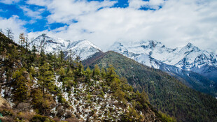 雪山山林壮丽自然景观