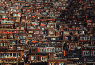 密集红砖建筑景观