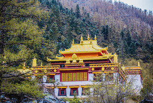 山林中的华丽中式古建筑