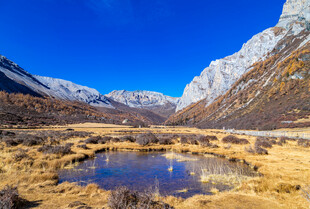 山间湖泊映雪山美景