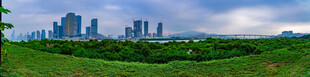 城市与绿地交相辉映的美景