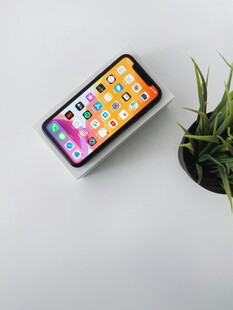 手机与绿植同