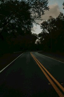 黄昏下的林间公路