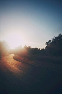 夕阳下的林间道路