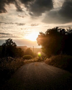 夕阳下的林间小路