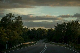 黄昏下的林间公路