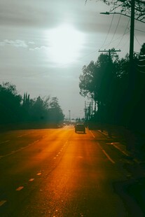 黄昏下的林间