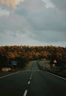 黄昏下的公路与远方树林