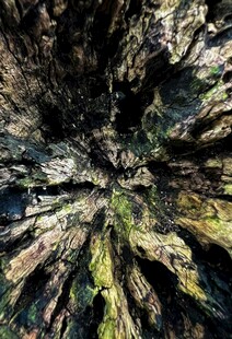 岩石纹理特写