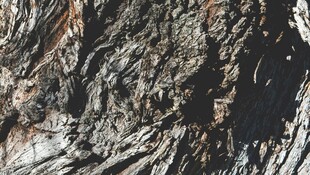 粗糙岩石纹理特写