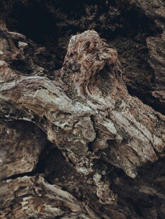 粗糙木纹