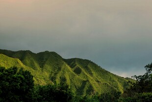 翠绿山峦沐浴