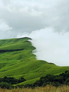 云雾缭绕的翠绿山坡美景