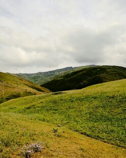绿野山丘自然