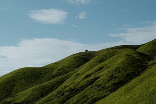 青山蓝天绿意