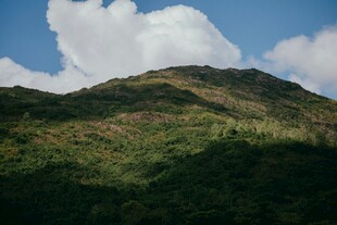 青山之上白云