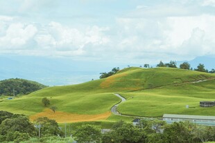 翠绿山坡美景