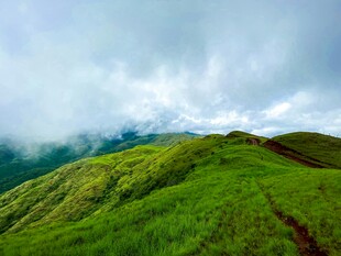 青山绿野