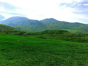 绿野青山