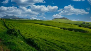 广袤绿野蓝天