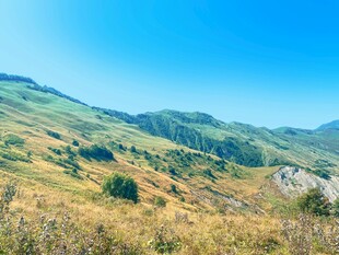 美丽山野风光