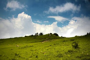 翠绿山坡