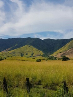 广袤草原与连