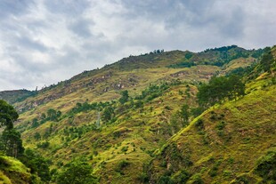 青山绿野间的秀丽风光