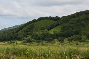 山间绿野风光
