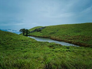 草原溪流美景