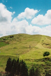 绿意盎然的山坡风景