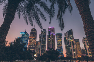 黄昏下的城市与棕榈树景观
