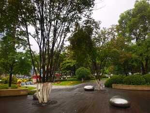 公园中的雕塑与绿植景观