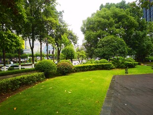 城市中绿意盎然的公园小径