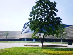 现代建筑旁的绿树景观
