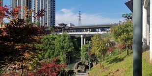 城市中绿植环绕的高架桥