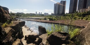 城市河畔自然景观一角