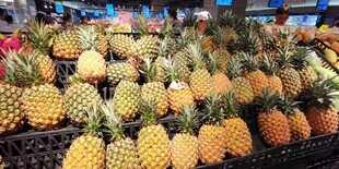 新鲜菠萝整齐摆放在摊位