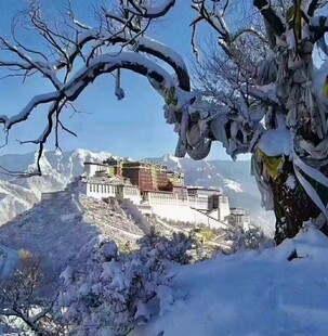 山间村落