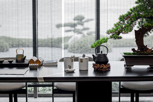 中式茶室雅致盆景与茶具