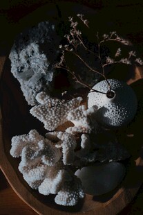 天然矿石与植物组合摆件