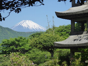 富士山