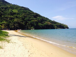 美丽海滨沙滩景色