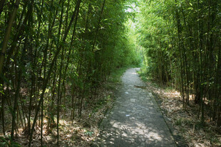 珠江源源头风景区
